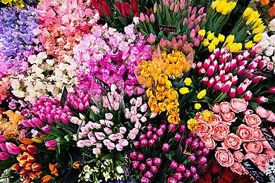 《塞尔达传说：王国之泪》官网确定游戏将推出DLC